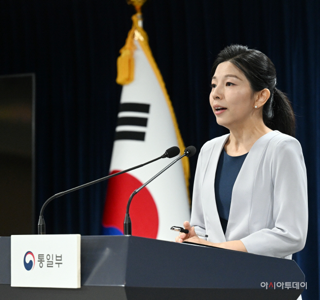 [포토]정례브리핑하는 김인애 부대변인