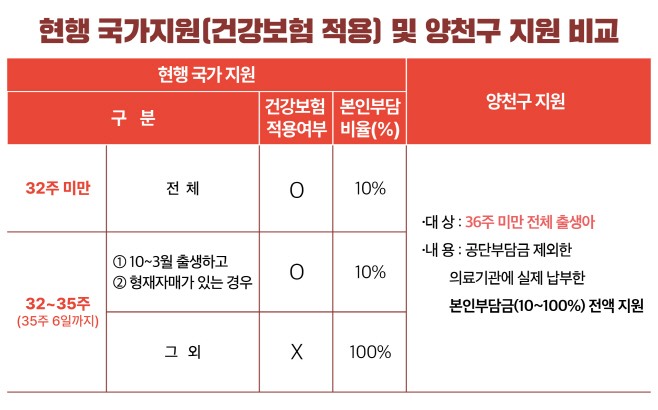 현행 국가지원 건강보험 적용과 양천구 지원 비교표