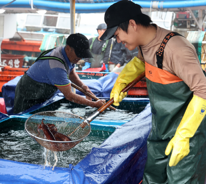 태안 신진도서 오징어&수산물 축제...8월 2~4일 열려