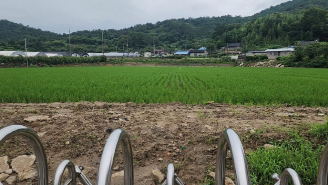 보성영등초