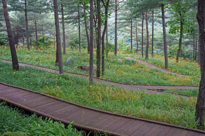 9-2. 토함산 백배 즐기기 숲산책로