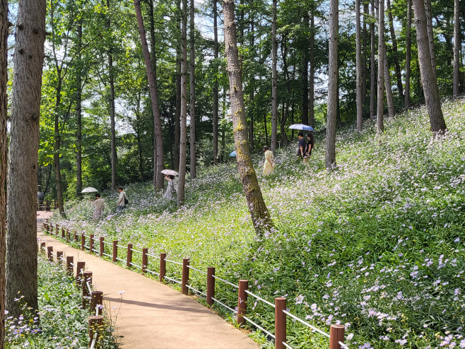 성주군사진(가야산야생화 버스킹 개최)-2