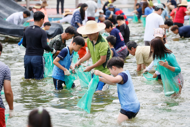 보성군