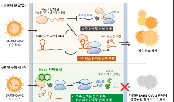 스크린샷(135)