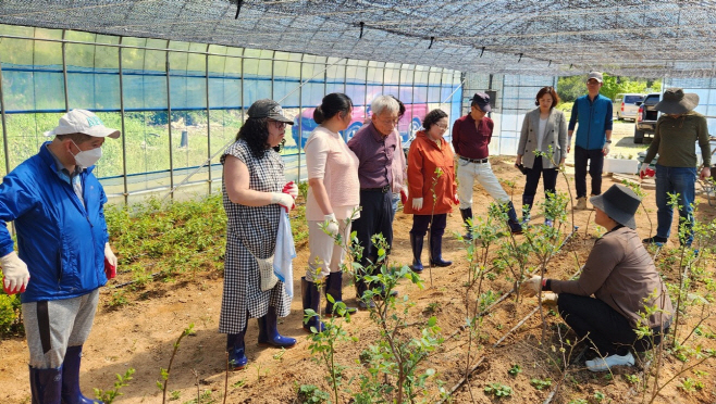 전남도