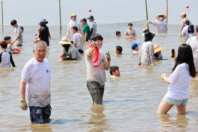 보성군