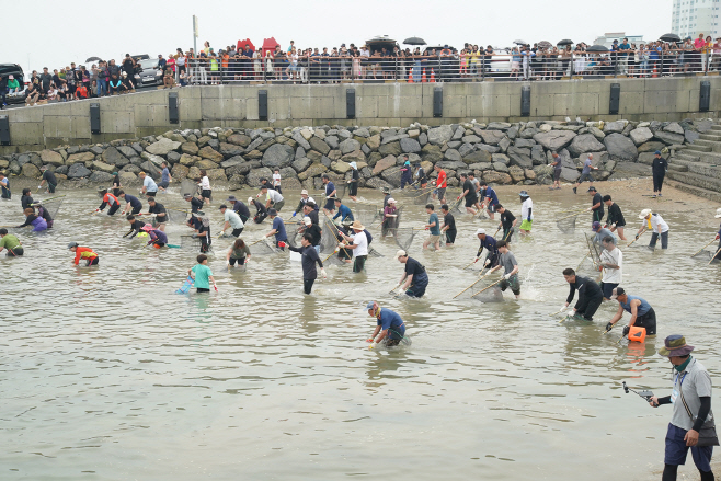 서산 삼길포우럭축제 24~25일 삼길포항서 개막...체험행사 등