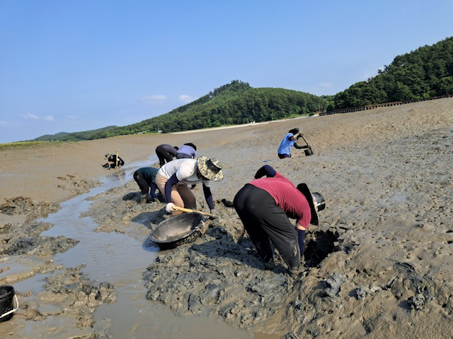 충남 귀어학교, 올해 마지막 교육생 모집