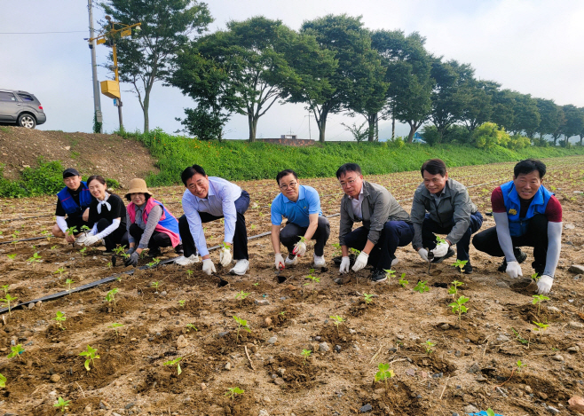 해바라기 식재에 동참한 김한종 장성군수