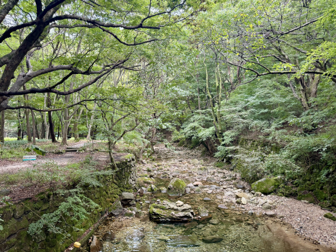 계룡산(동학사자연관찰로) (1)