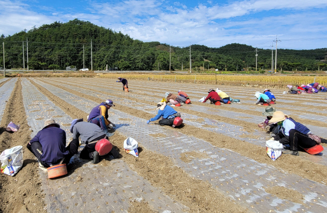 전남농기원