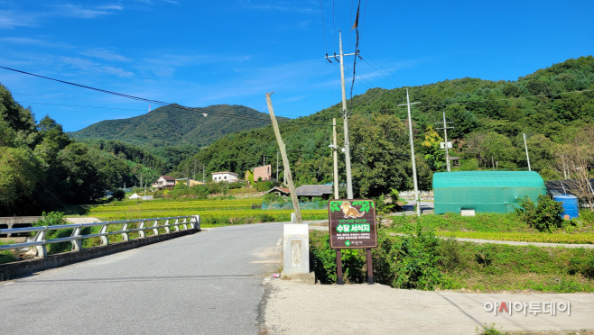 아산시 온양천 상류