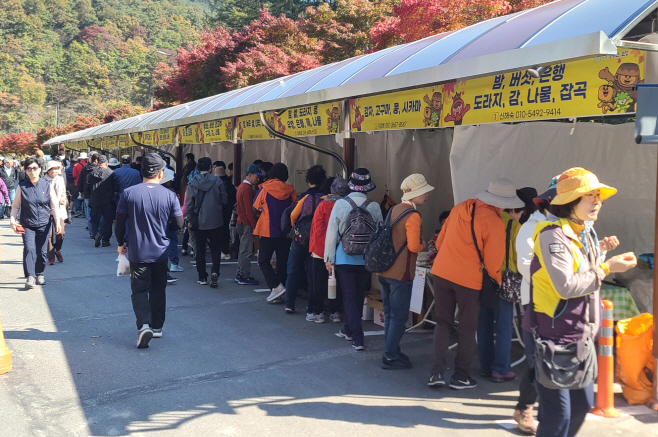 순창 0927 - 강천산 가을 성수기 농특산물 판매장 운영(2)