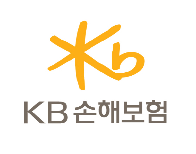 kb손해보험_