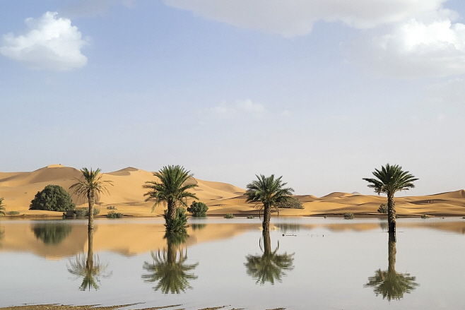 Morocco Desert Rain