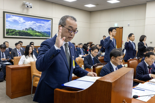 [2024국감] 정인섭 한화오션 거제사업장 사장, 국정감사 출석