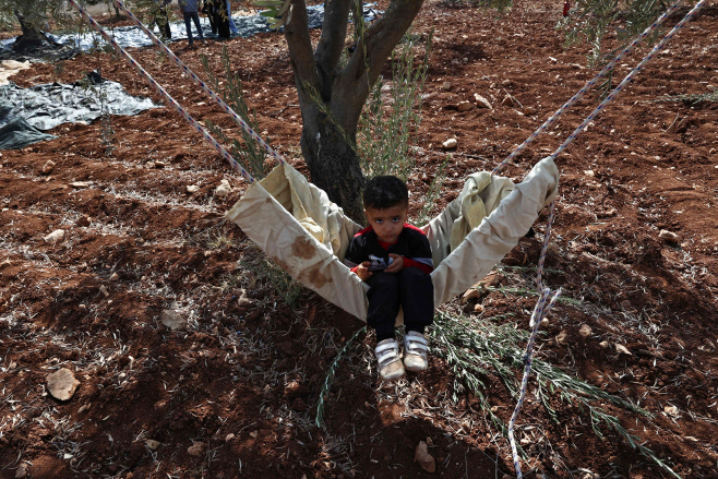 TOPSHOT-PALESTINIAN-ISRAEL-CONFLICT-OLIVE HARVEST