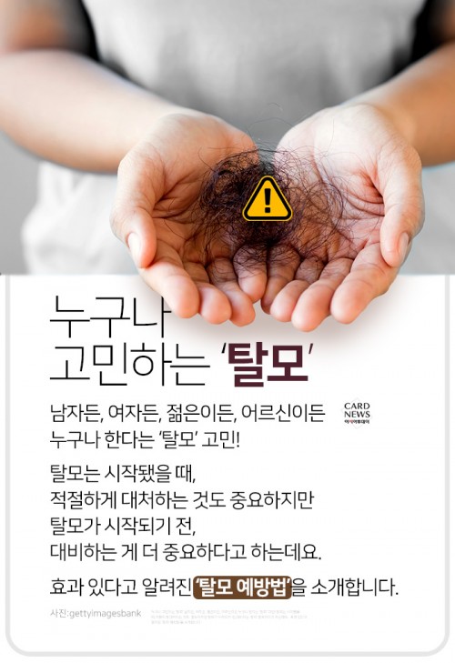 카드 뉴스 이미지