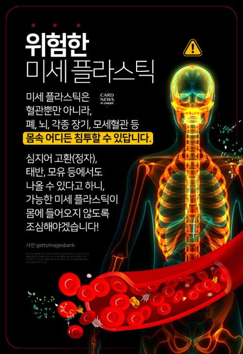 카드 뉴스 이미지