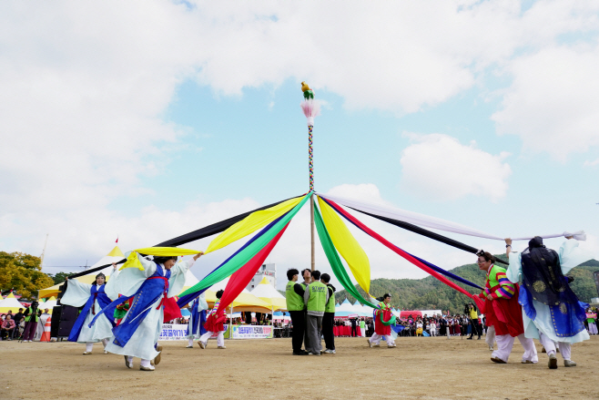 제18회 청송사과축제[청송사과 꽃줄엮기 전국대회] (3)