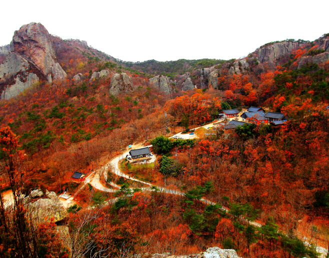 고창 선운사_고창군 제공 (1)