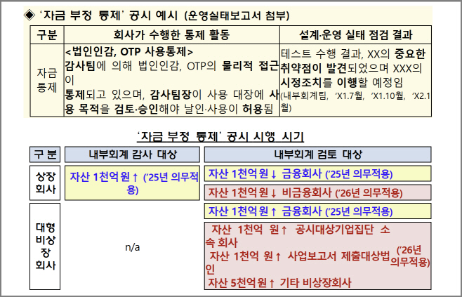 금감원 횡령 등 자금 부정·예방 적발 통제활동 의무 기재