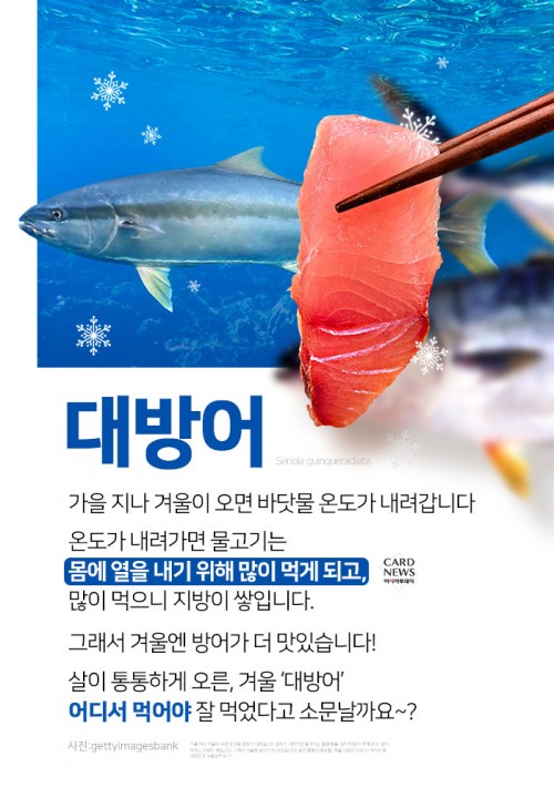 카드 뉴스 이미지