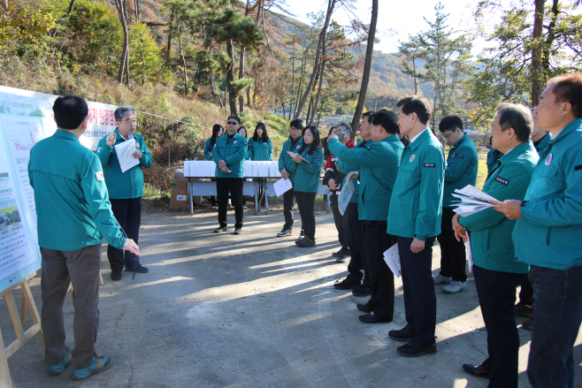 재선충피해지 현장점검 119