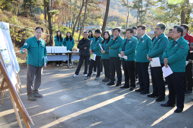 재선충피해지 현장점검 025