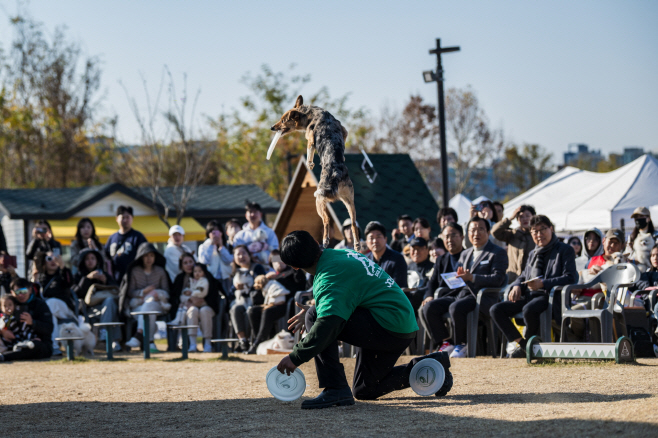 (사진1)독스포츠 체험부터 유기견 입양까지…하남시 반려동물 문화축제 성료