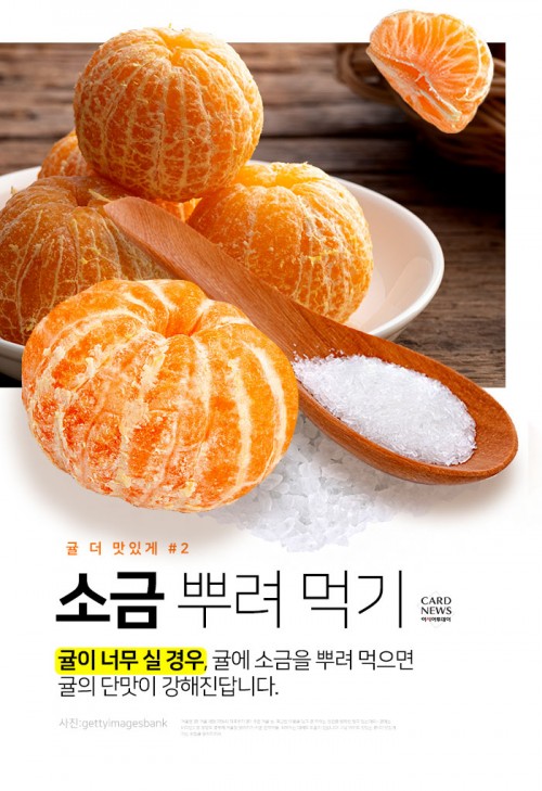 카드 뉴스 이미지