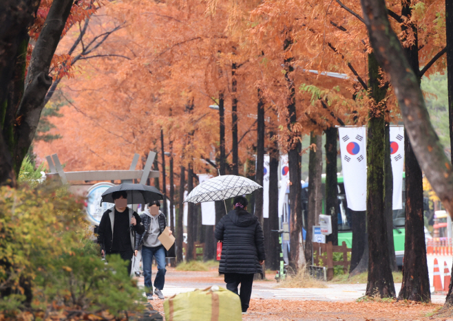 겨울을 재촉하는 가을비<YONHAP NO-2308>