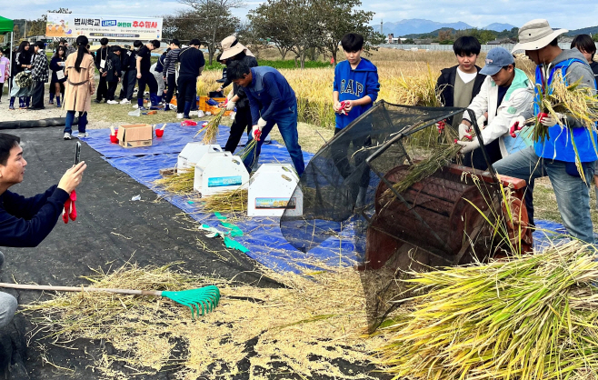 전남도