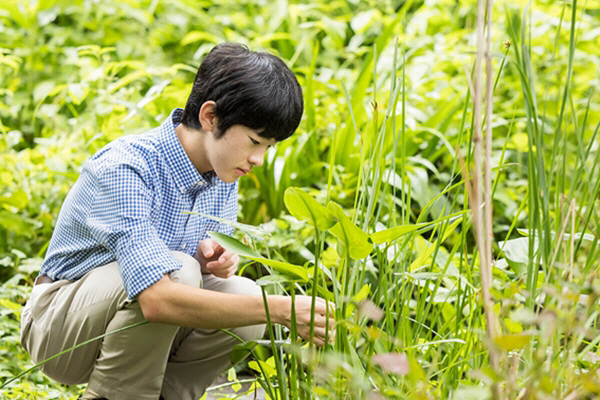 히사히토