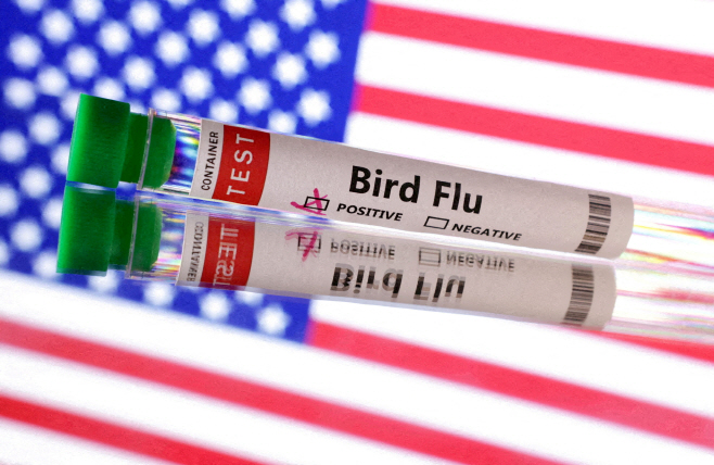 HEALTH-BIRD FLU/USA