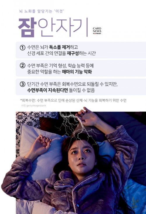 카드 뉴스 이미지