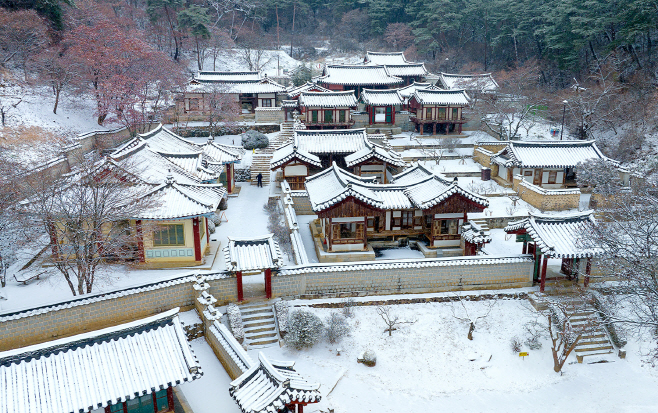 1226 세계유산 도산서원  2025년 관광객 맞이 준비 (1)