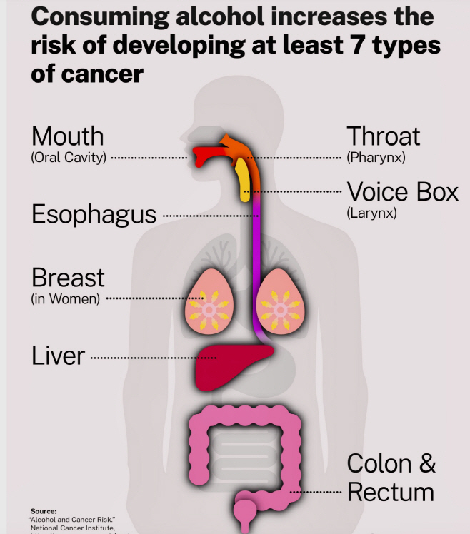 알코올과 암