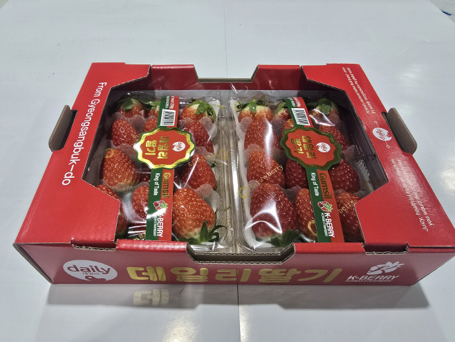 3._데일리_딸기(250g_2팩) (1)