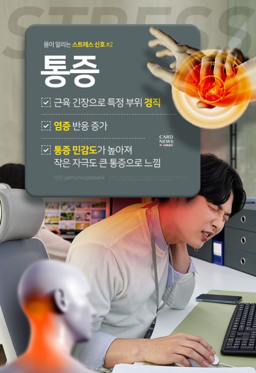 카드 뉴스 이미지