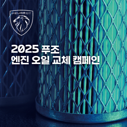clip20250115092323