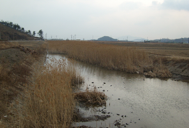 전남도