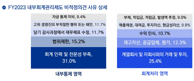 [이미지1] FY2023 내부회계관리제도 비적정의견 사유 상세 (제공 삼정KPMG)
