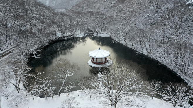 내장산