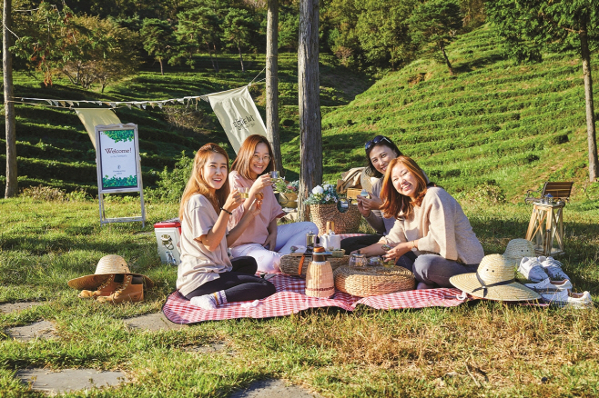 보성군