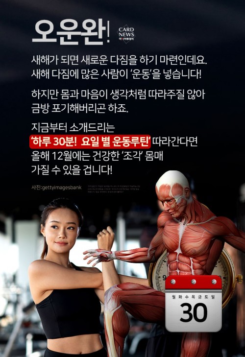 카드 뉴스 이미지