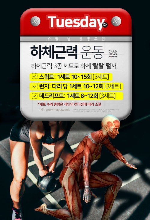 카드 뉴스 이미지