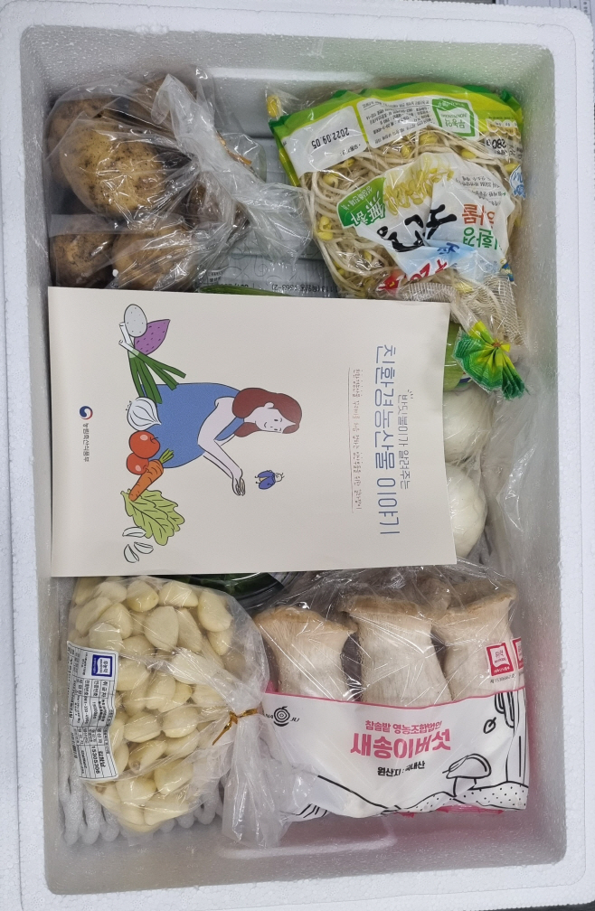전남도