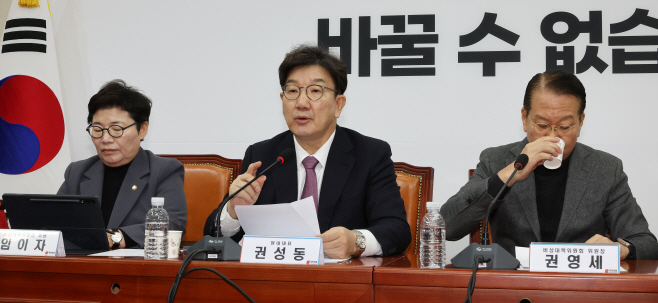 비상대책위원 회의에서 발언하는