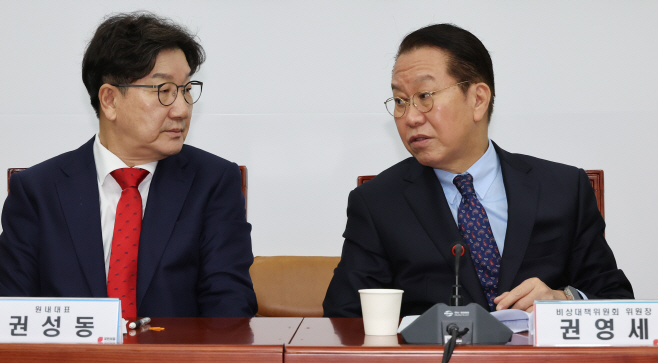 대화하는 권영세 비대위원장-권성동 원내대표<YONHAP NO-4276>